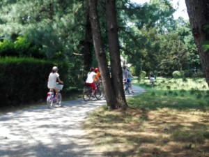 IppoCampus bici